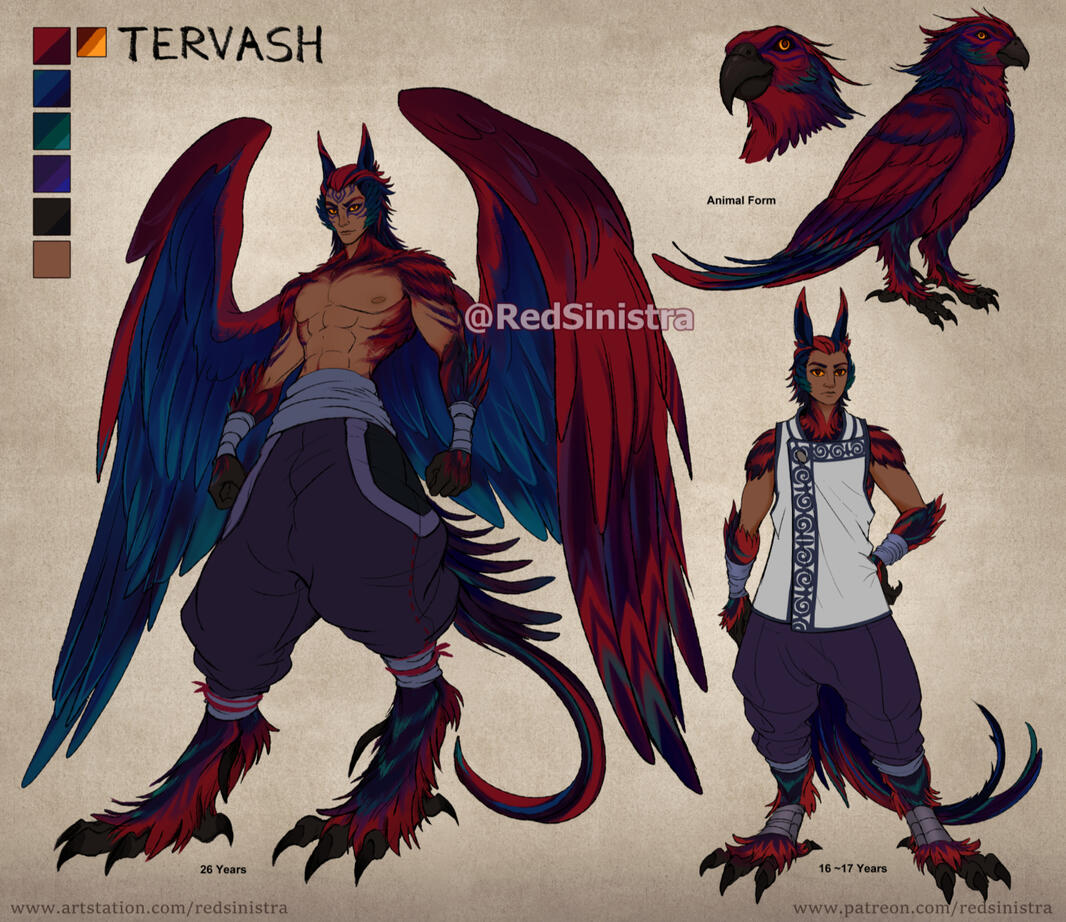 Tervash | Raven, The Shadow Dancer
